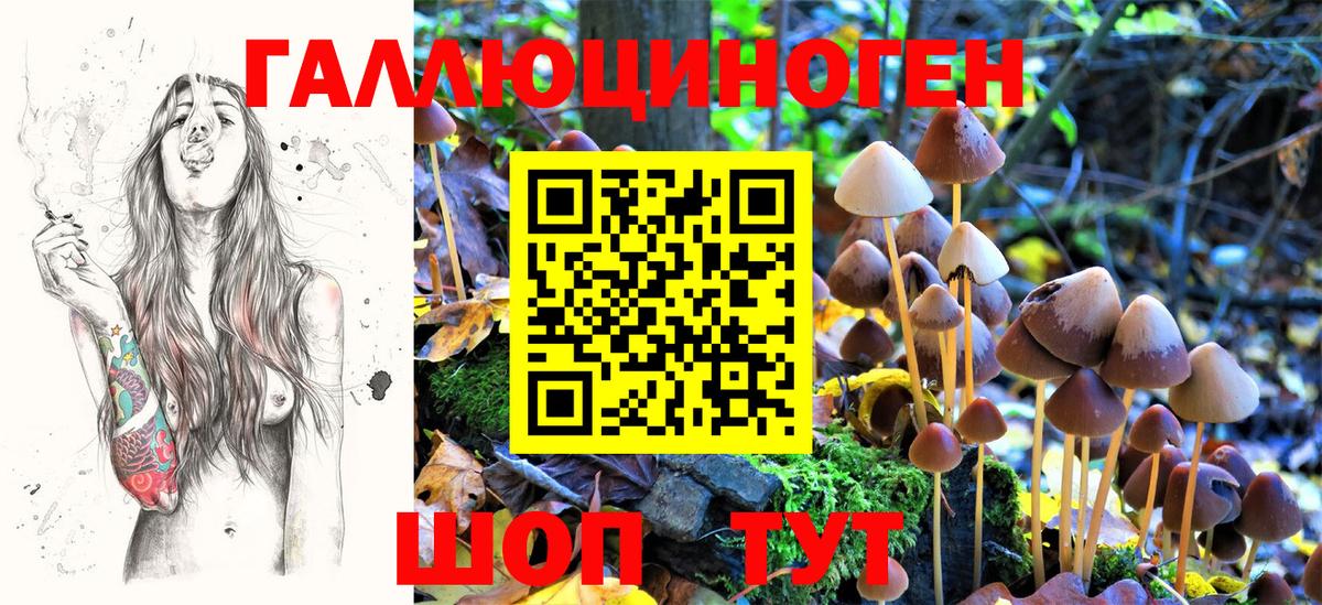 Псилоцибиновые грибы прущие грибы  Вход с VPN  Галлюциногенные грибы GOLDEN TEACHER  Кудымкар 