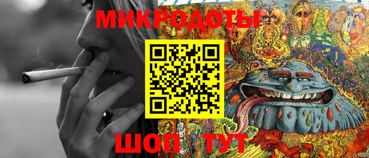 Псилоцибиновые грибы Psilocybe Кудымкар