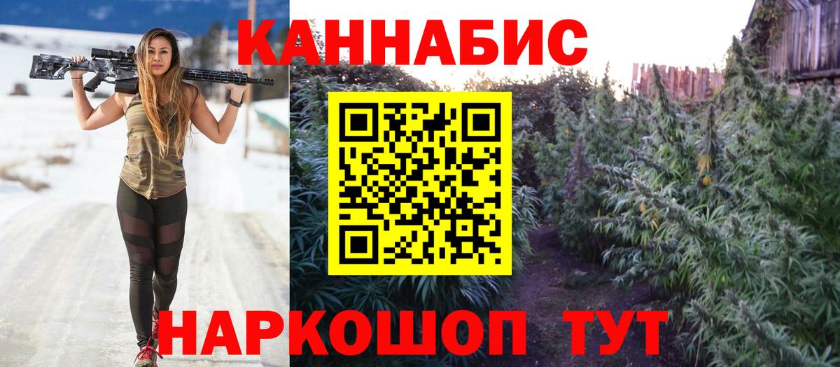 Конопля индика Кудымкар